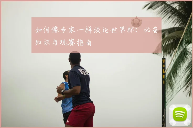 如何像专家一样谈论世界杯:必备知识与观赛指南