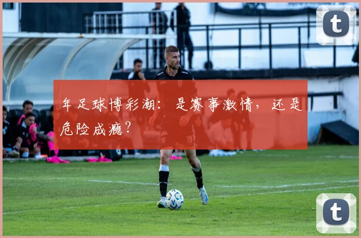 年足球博彩潮：是赛事激情，还是危险成瘾？