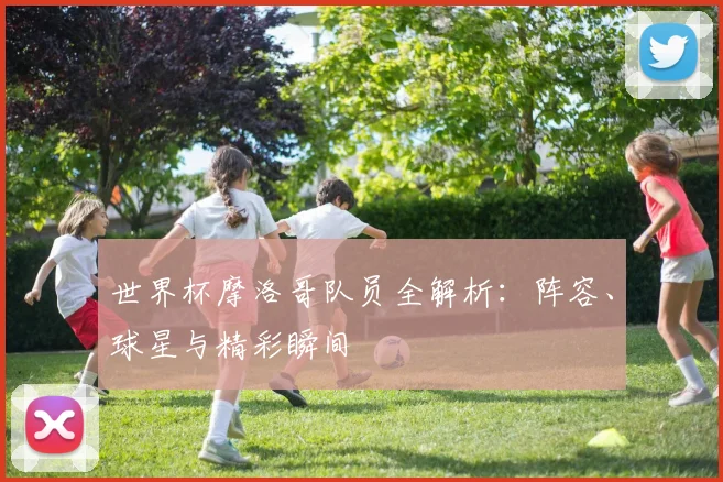 世界杯摩洛哥队员全解析:阵容、球星与精彩瞬间