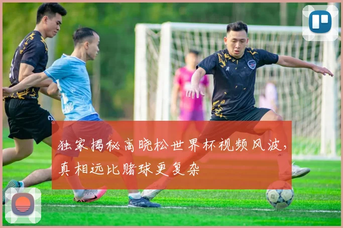 独家揭秘高晓松世界杯视频风波，真相远比赌球更复杂