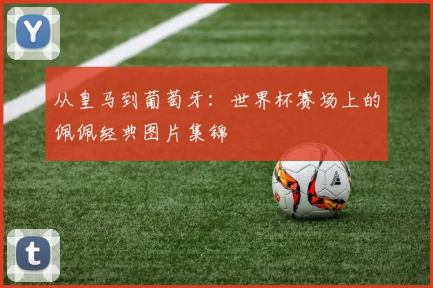 从皇马到葡萄牙：世界杯赛场上的佩佩经典图片集锦