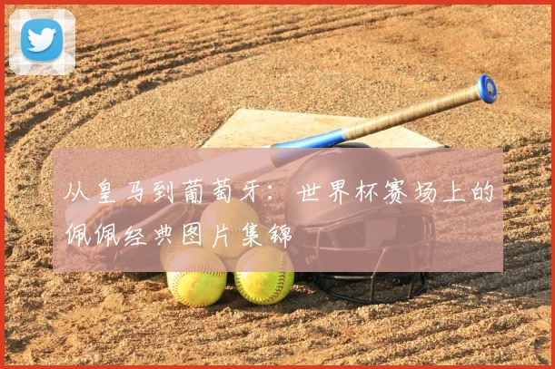 从皇马到葡萄牙：世界杯赛场上的佩佩经典图片集锦